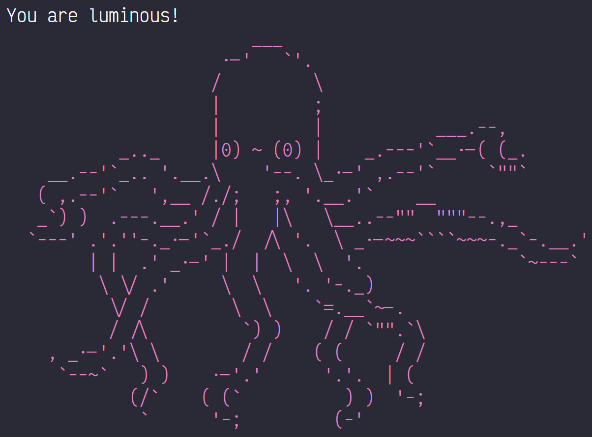 startup message with octopus